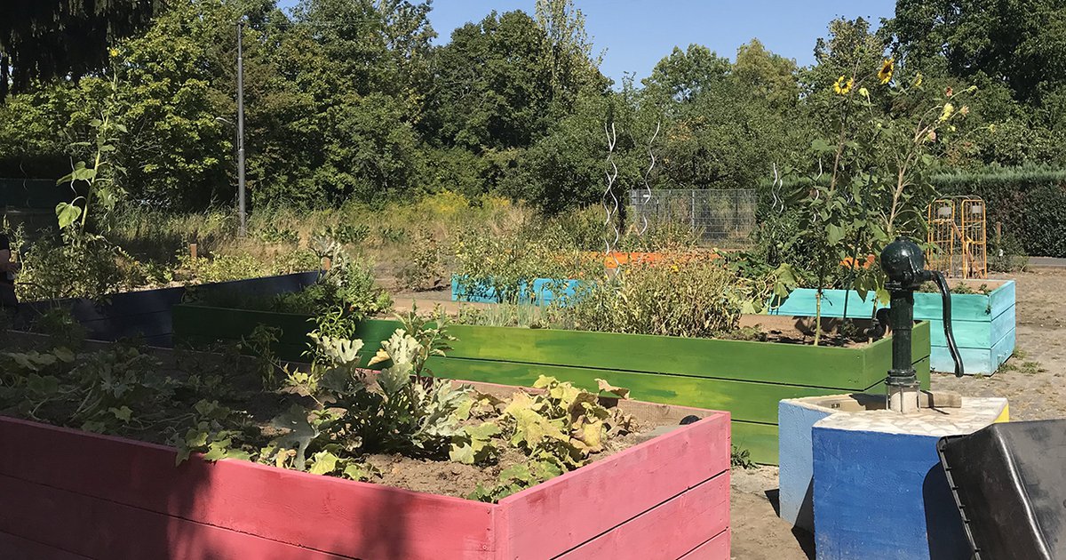 Seckbach Vom Parkplatz zum Gemeinschaftsgarten Evangelisches