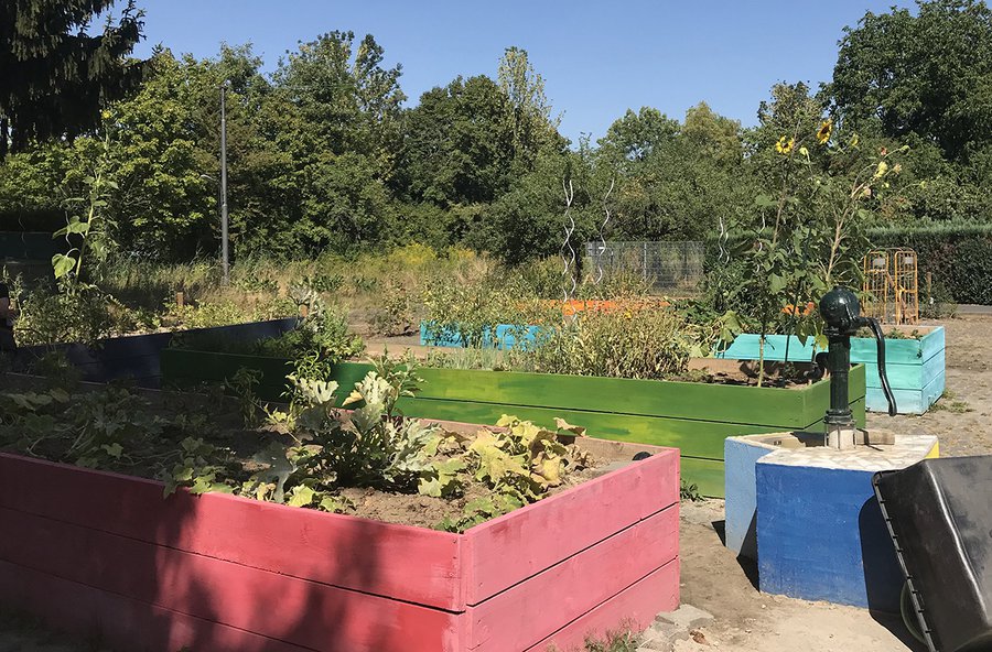 Wo früher ein Parkplatz war, wächst jetzt Gemüse: Am Sonntag wurde der Gela-Garten in Seckbach eingeweiht. Er entstand auf Initiative des Evangelischen Vereins für Wohnraumhilfe, der gegenüber eine Übergangsunterkunft betreibt, ist aber für die ganze Nach
