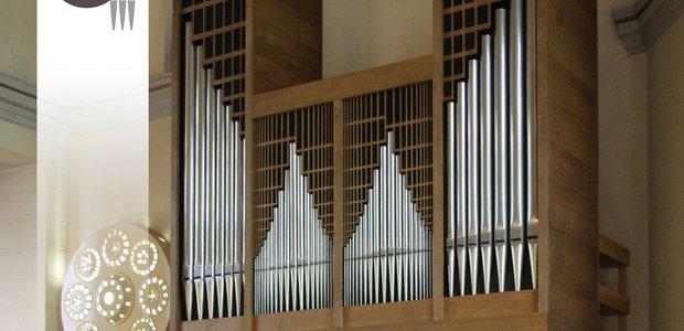 Die Orgel in der Höchster Stadtkirche. I Foto: privat