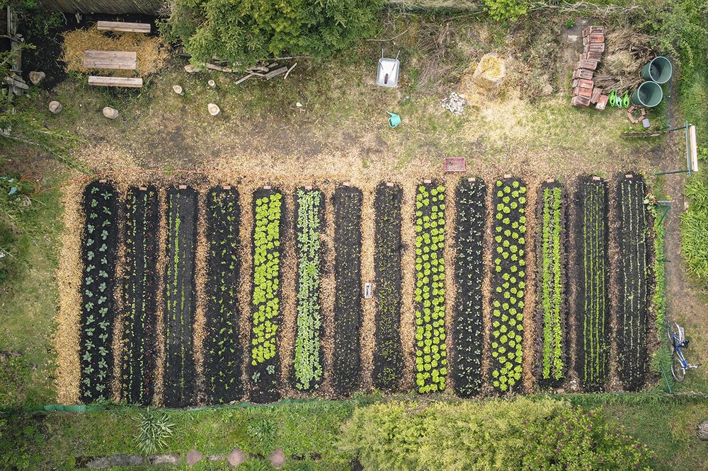 Gemüsebeete in der Stadt: Hier eine Luftaufnahme eines Gartens der GemüseheldInnen.