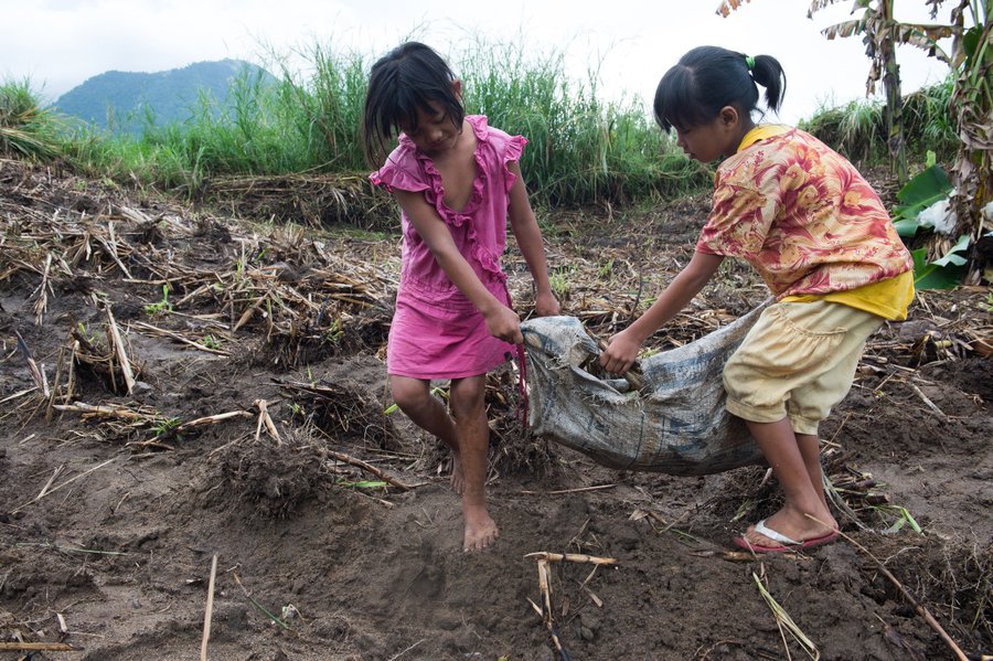 Kinderarbeit auf Zuckerrohrfeldern auf den Philippinen: Fast jedes zehnte Kind im Alter zwischen fünf und 17 Jahren arbeitet für seinen Lebensunterhalt. Foto: Brot für die Welt