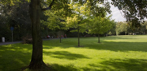 Spazierengehen im Park ist nur eine der vielen Möglichkeiten, ein paar schöne Stunden zu zweit zu verbringen. | Foto: Rolf Oeser