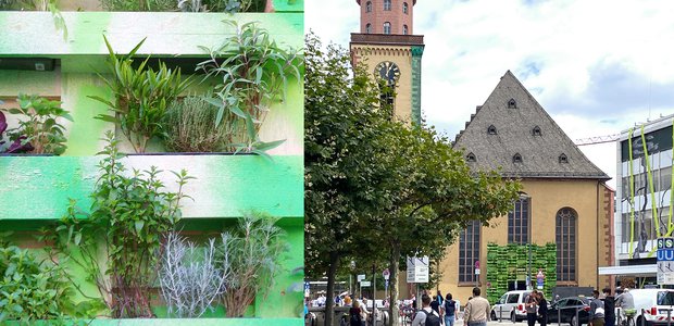 Die Installation "KlimawandEL" an der Westwand der Sankt Katharinenkirche an der Frankfurter Hauptwache.  |  Fotos: Olaf Lewerenz