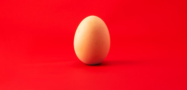 Alles auf Anfang: Das Ei ist ein Symbol für das Neue, für Fruchtbarkeit, für Ostern. | Foto: Revolt/unsplash.com